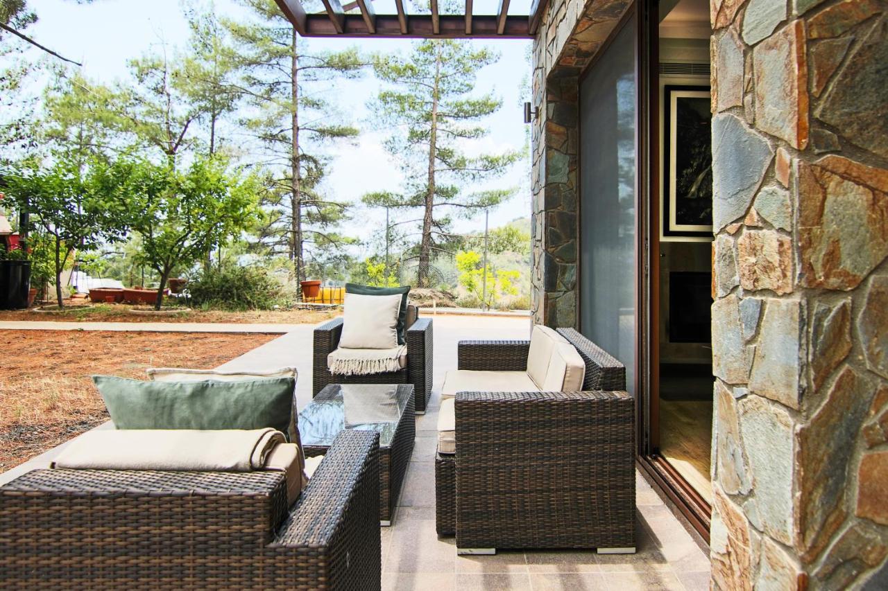 Phaedrus Living: Forest View Luxury Villa Chantara Foini Extérieur photo