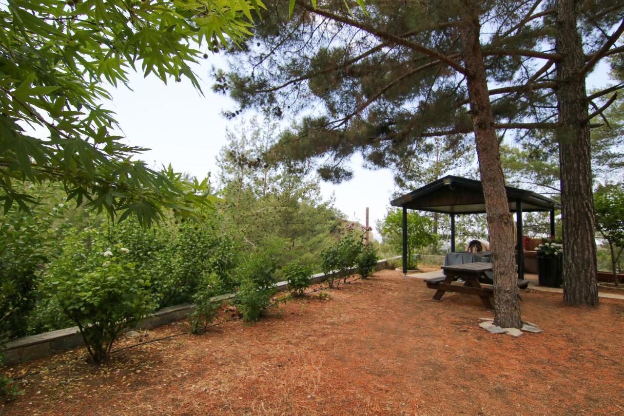 Phaedrus Living: Forest View Luxury Villa Chantara Foini Extérieur photo