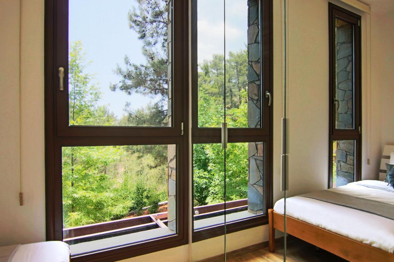 Phaedrus Living: Forest View Luxury Villa Chantara Foini Extérieur photo